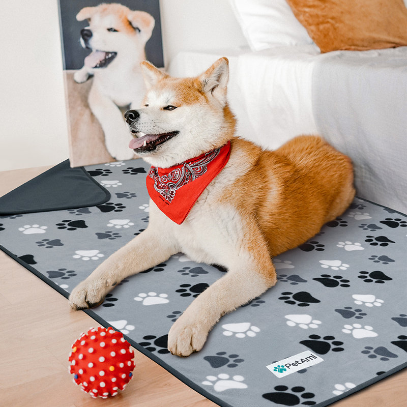 Fleece Polyester Pet Blanket, 40" x 29"