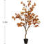47.24cm Plant-1659566309