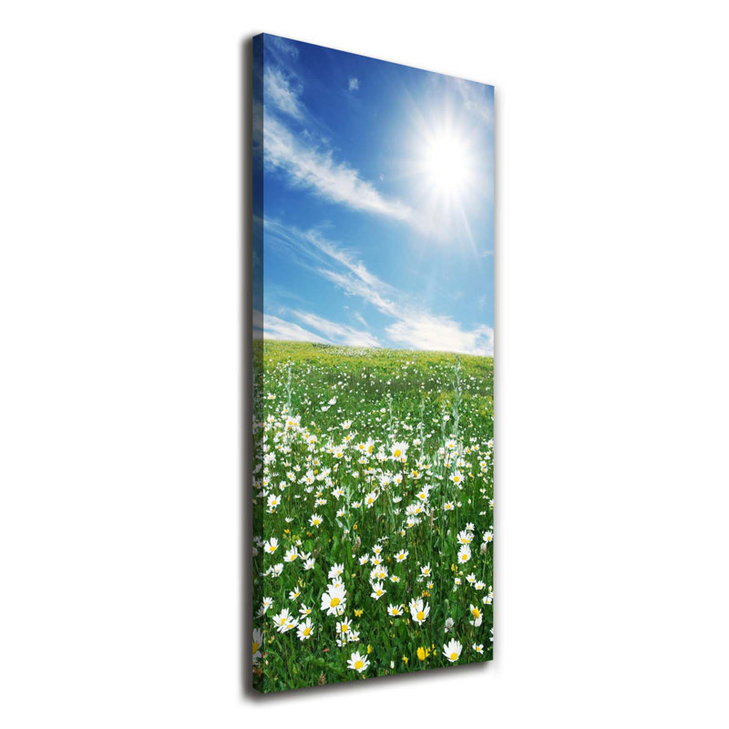 Meadow - Wrapped Canvas Print