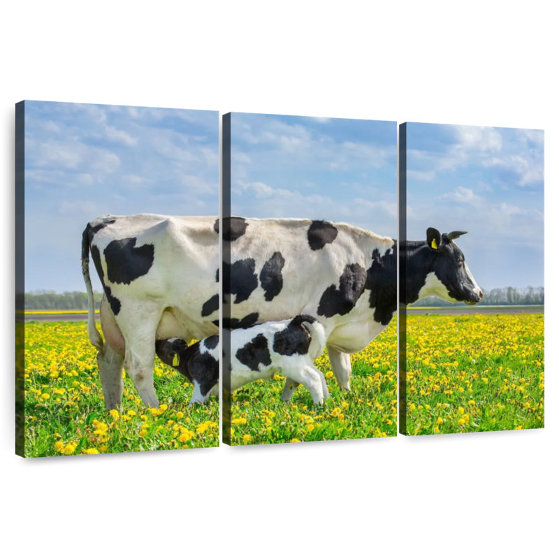 Brampt Spotted Cattle, 20" H x 33" W