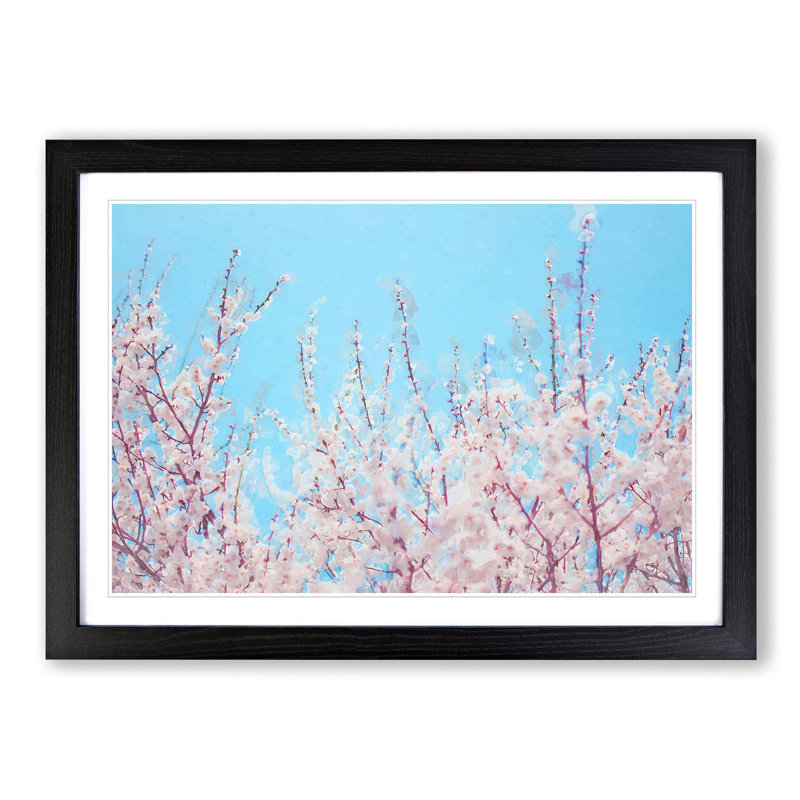 Top of the Blossom Tree in Abstract - Picture Frame Graphic Art Print, 50cm H x 76cm W x 2cm D, Black