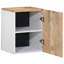 Bathroom Cabinet