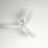 Franny Ceiling Fan with LED Lights-2008673707-1891806493