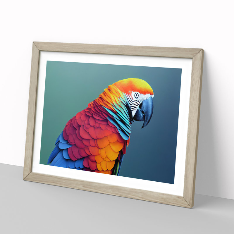 Colourful Parrot Portrait Vol.6 1 Piece Single Picture Frame Painting, 25cm H x 34cm W x 2cm D, Oak Framed