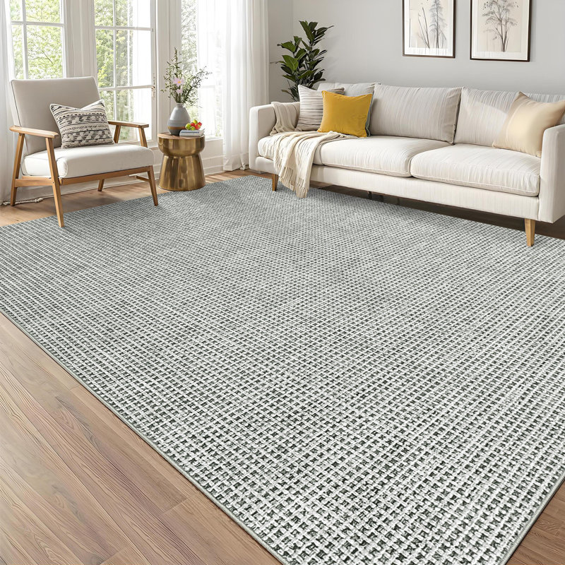 Modren Machine Washable Rug for Living Room Tiny Plaid Indoor Carpet for Home Decor Aesthetic Non-Slip Rug for Bedroom Dining Room Office Nursery Playroom Teen Dorm