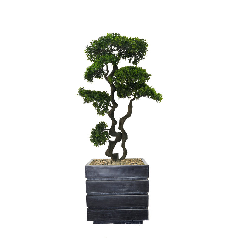 Bonsaï artificiel en pot 37 po Panama, Noir