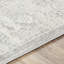 Amelie Light Grey/Off-White Rug-19999851
