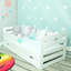 Noam Cabin Bed with Storage Included-27476366-125475282