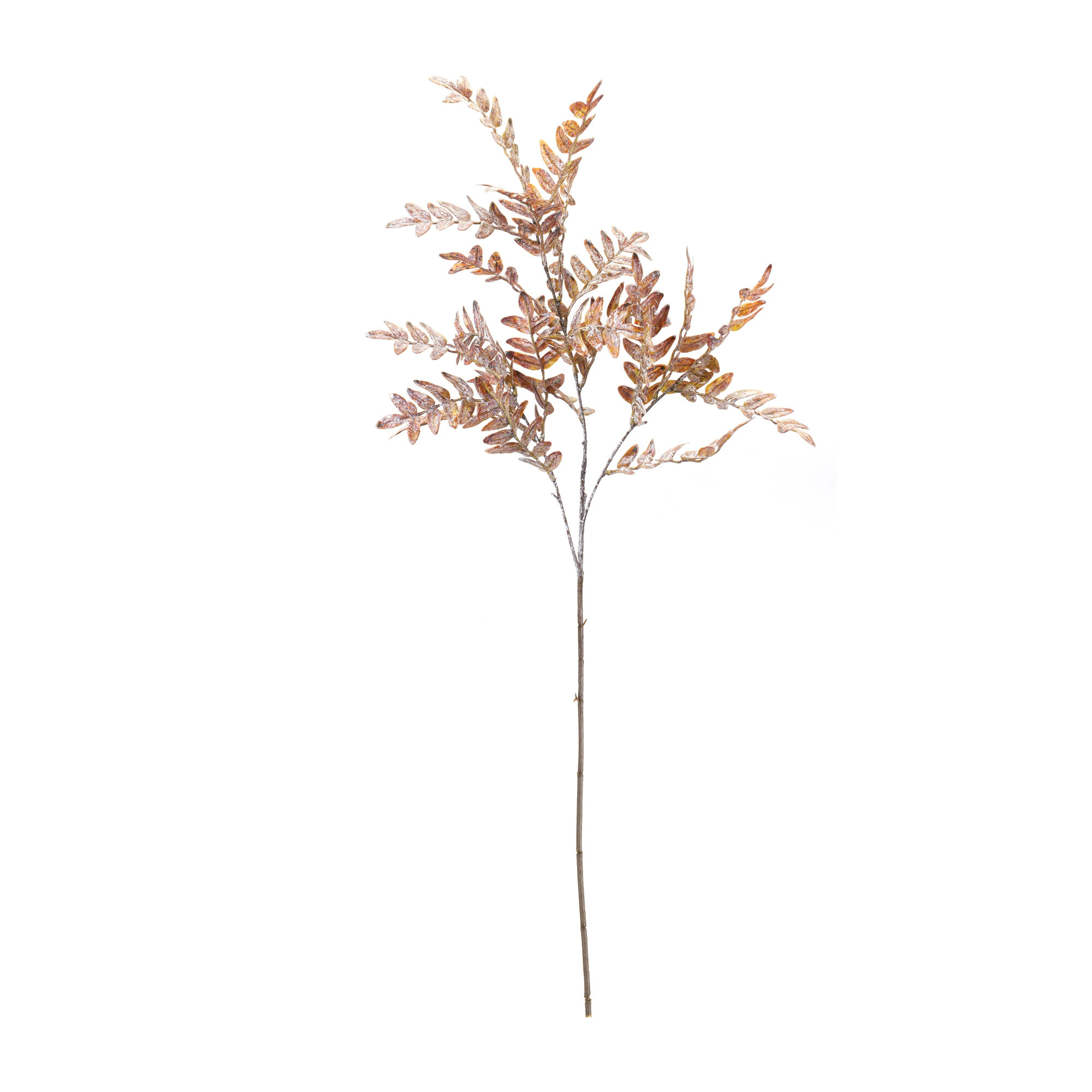 Stems for Tabletop Vase