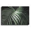 «Palm Fronds Green» par Debra Van Swearingen-2025995287
