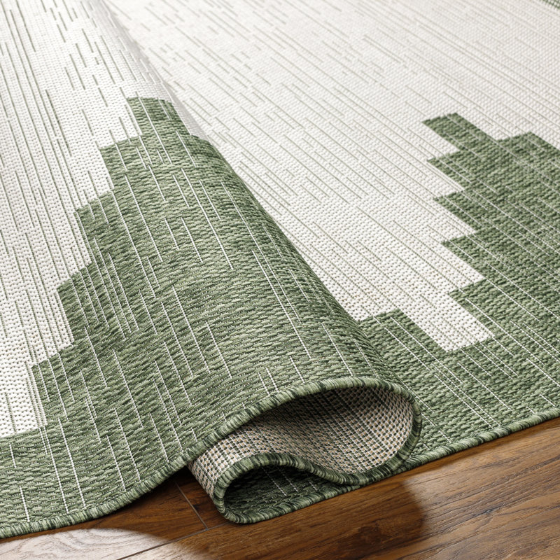 Tapis intérieur / extérieur tissé à la machine Isidro , Rectangle 10 pi x 13 pi 11 po