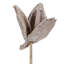 Sora Pod attaché à une tige de bois, séché 16 po Sora Pod attaché à une tige de bois, séché-1077858062