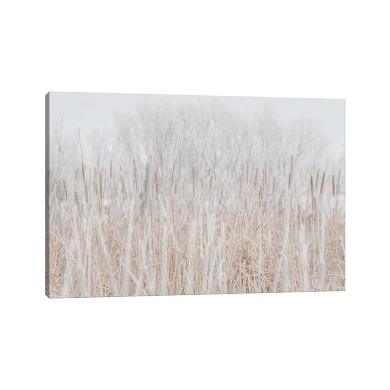 Cattails Hoarfrost With Snow 1 Piece Wrapped Canvas Wall Art, 101.6 cm H x 66.04 cm W