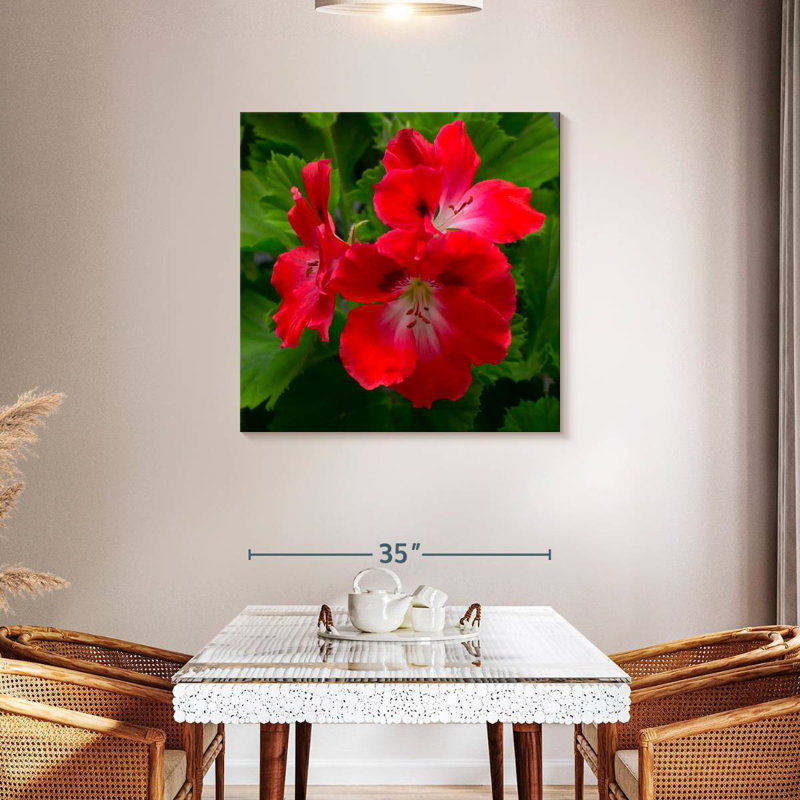 Red Hibiscus Flowers, 36" H x 36" W