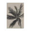 Palmier sur toile-584816040