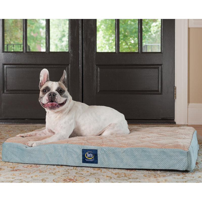 Lit matelassé pour animaux Serta, Grand (l 36 po x P 27 po x H 3,5 po), Brun clair