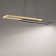Double Entendre LED Black/Aged Brass Linear Pendant