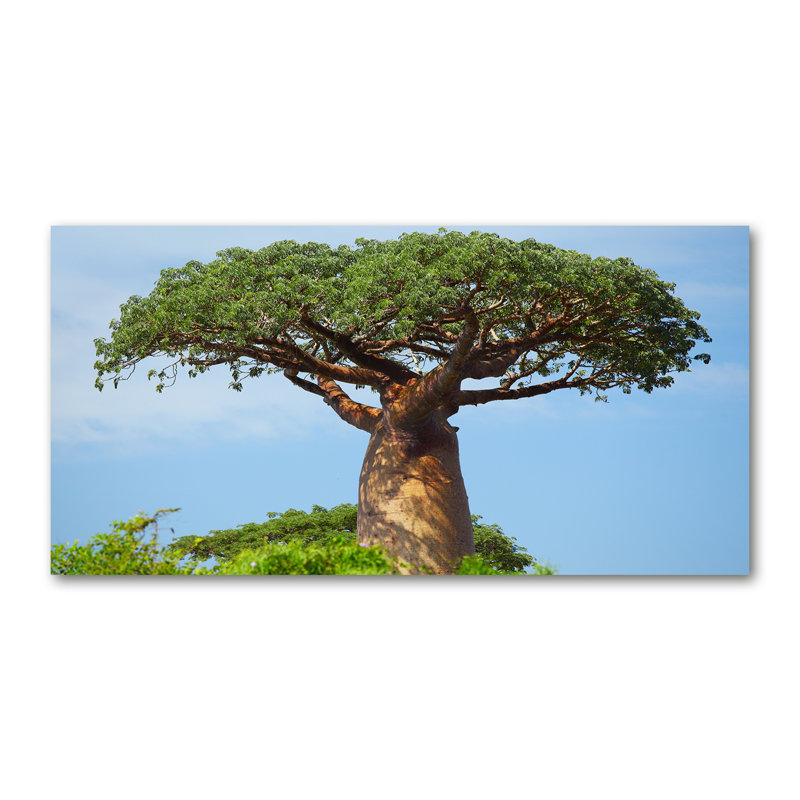 Baobab - No Frame Print on Glass, Canvas, 70cm H x 140cm W x 2cm D