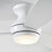 Rivers Ceiling Fan with LED Lights-153101402-144237581