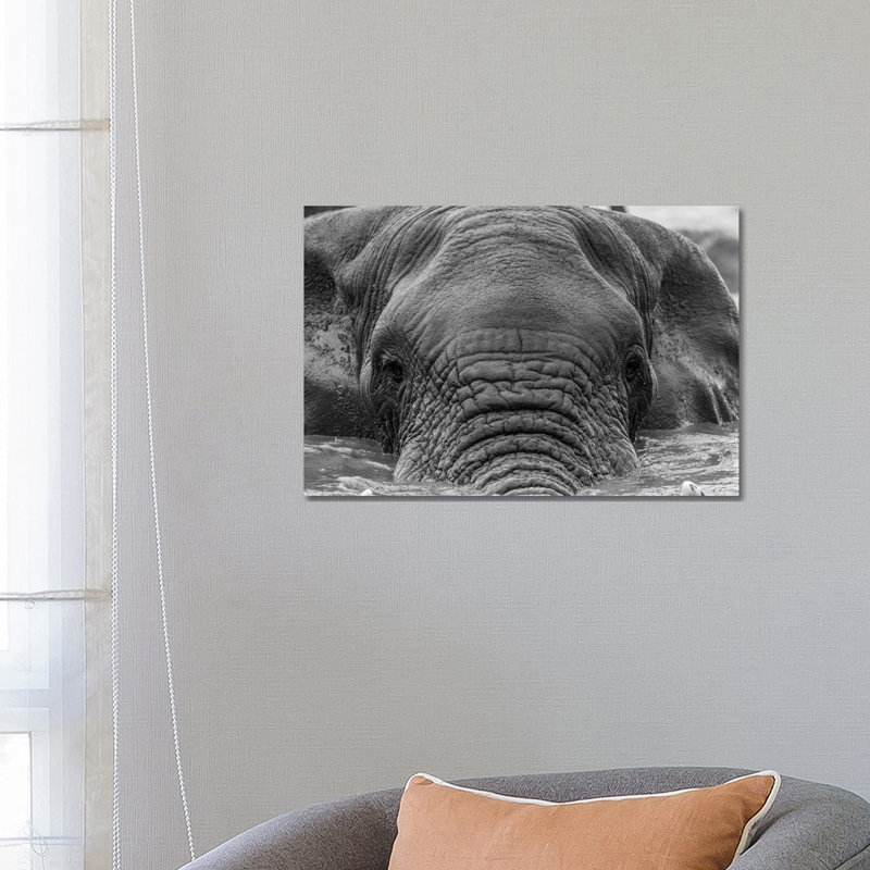 Elephant Partially Submerged 1 Piece Wrapped Canvas Wall Art, 66.04 cm H x 45.72 cm W x 3.175 cm D