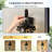  Matte Black Motion Sensor Outdoor Wall Sconce With Seed Glass