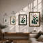 Flowering Plant Study Botanical - Framed Print-1248731720-1248731717