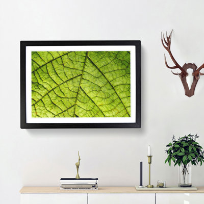 Leaf Roads - Picture Frame Graphic Art Print