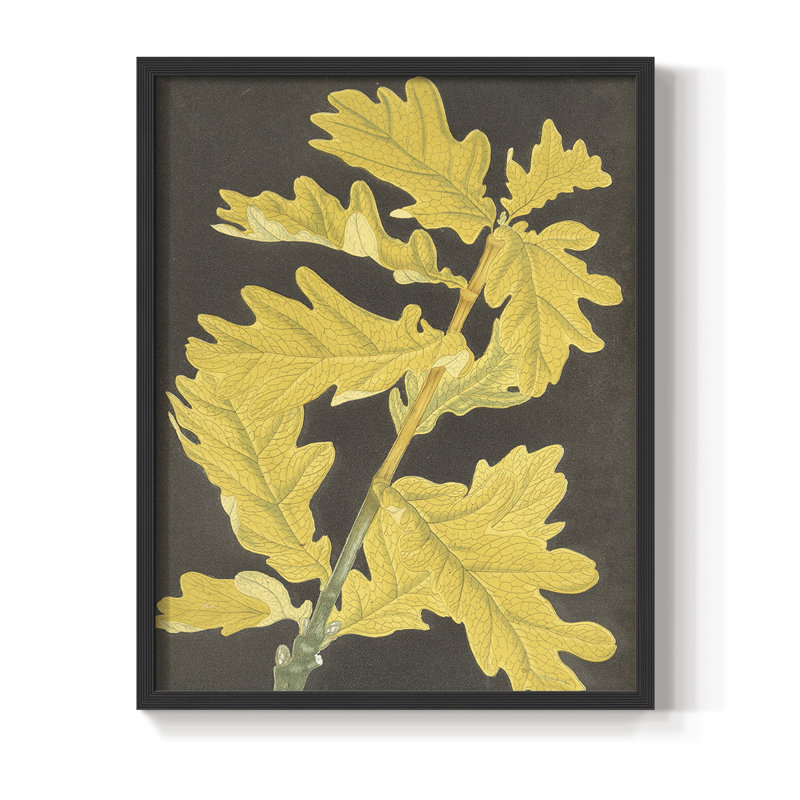 «Vintage Floral CCXLVI» sur, Noir, H 10 po x l 8 po