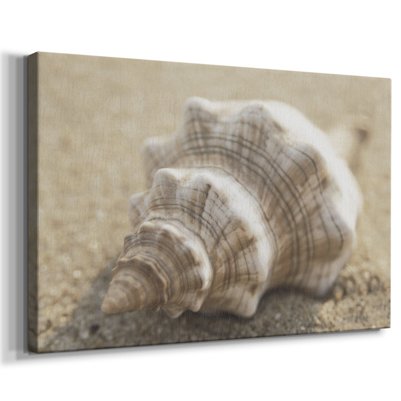 Calmer Shell I -Galerie enveloppée Cavas, 18 x 27