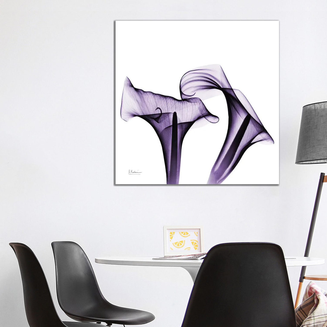 Calla Lilies I1PC6