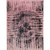 Wolrad Area Rug