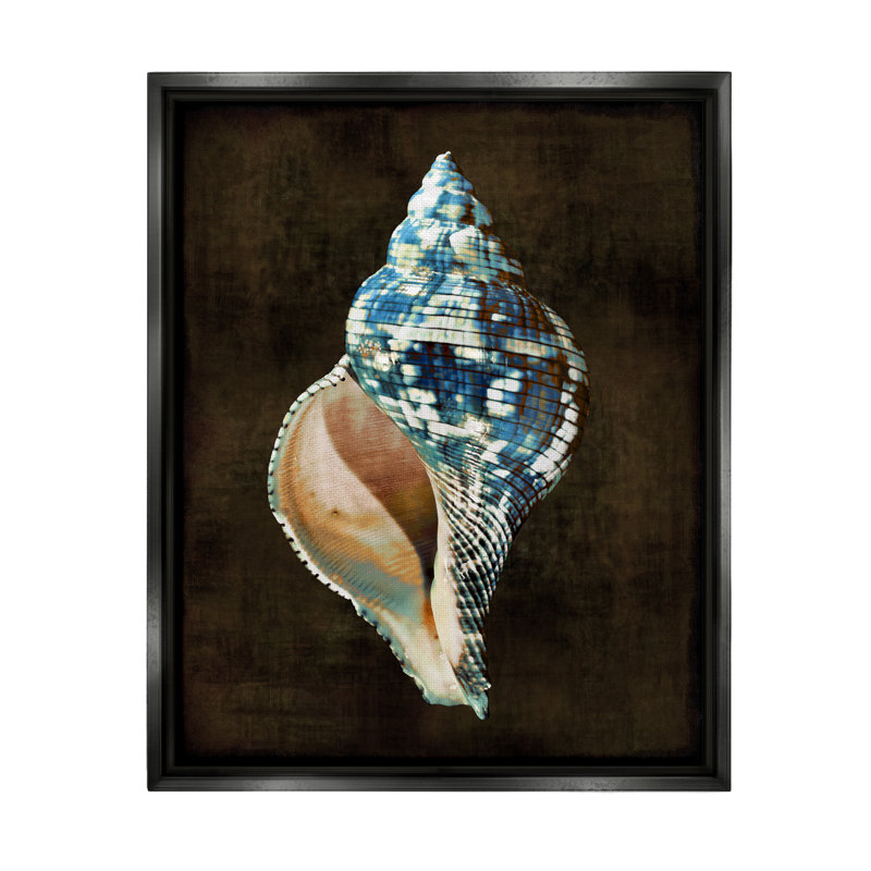 Conception d'art moderne sur toile flottante encadrée de coquillage moderne par Caroline Kelly, H 21 po x l 17 po x P 1,7 po