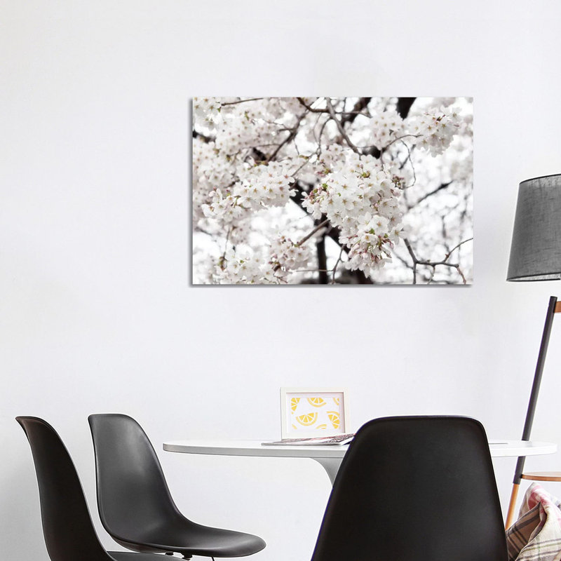 White Sakura Cherry Blossom by Philippe Hugonnard - Wrapped Canvas Gallery-Wrapped Canvas Giclée
