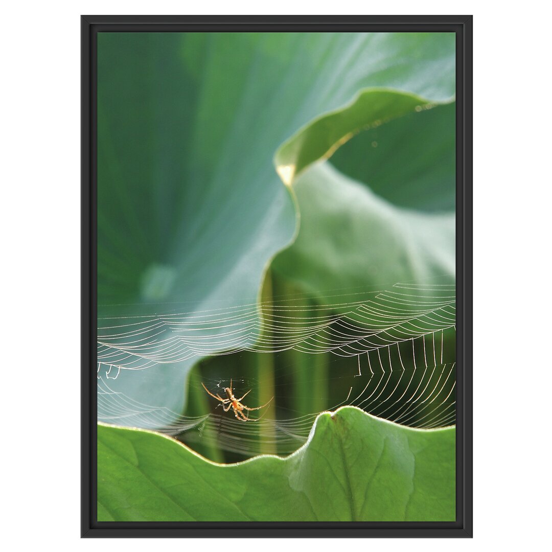 Gerahmtes Wandbild Spinnennetz zwischen Blättern