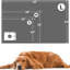 Couverture pour animaux-97748397-97748395
