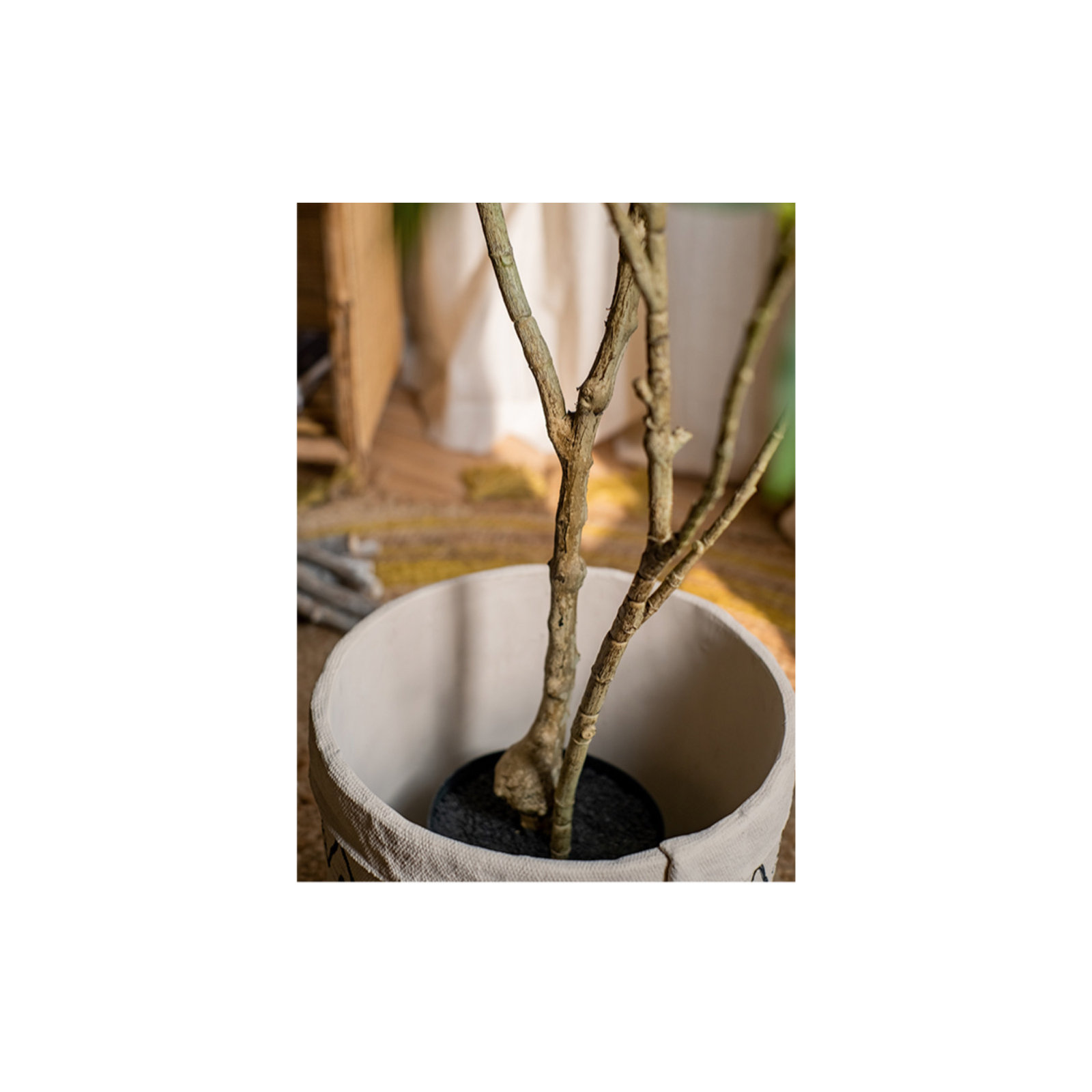 Gant Faux Tree, 94" H x 62" W x 8" D