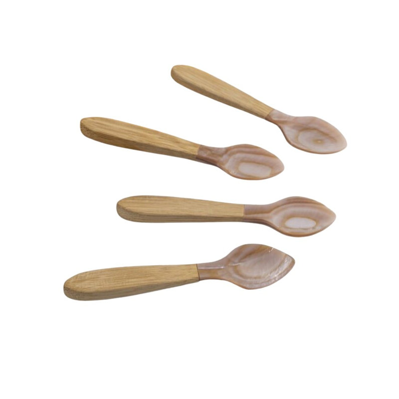 Serin Shell Medium Spoons, Set of 4