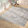 Calidia Oriental Light Gray/Cream Area Rug