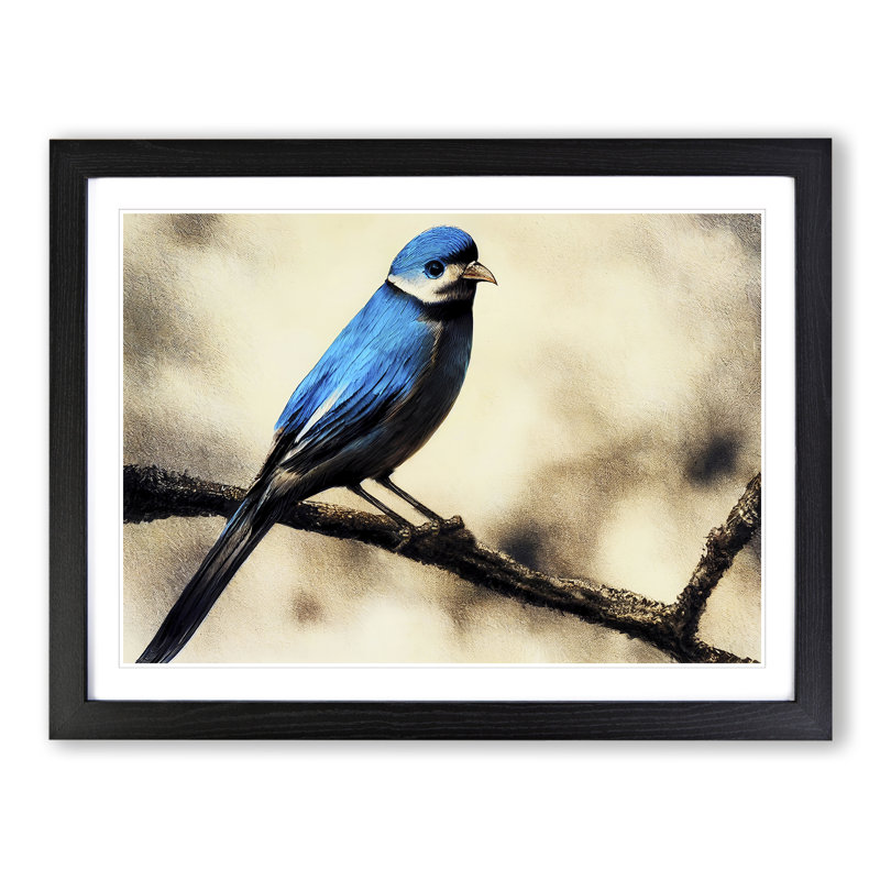 Expressive Bird - Single Picture Frame Print, Black Framed, 46cm H x 64cm W x 2cm D