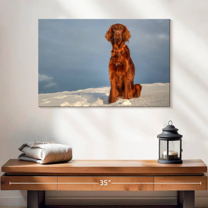 Setter irlandais sur neige, H 16 po x l 24 po