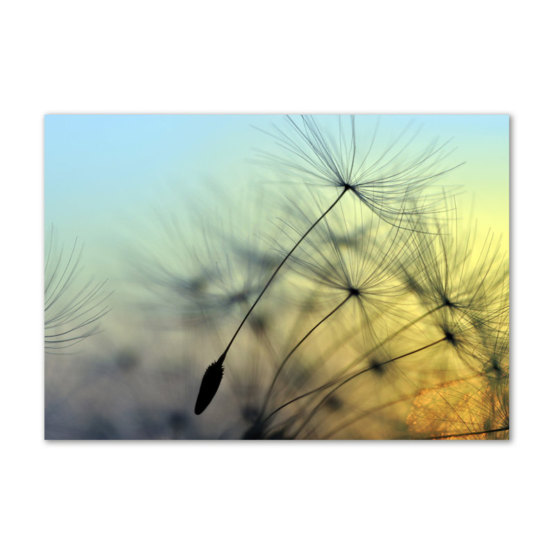 Dandelion Seeds - Wrapped Canvas Print