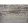 Anouk Area Rug