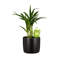 Ensemble de 2 arrosoirs-98167926-98167927