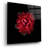 " In Red " by PhotoINC Studio-1379295312