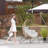 Alpharetta Steel Patio Wicker Chair with Cushions