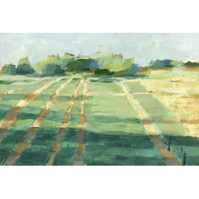 Milieu d'été ombres I