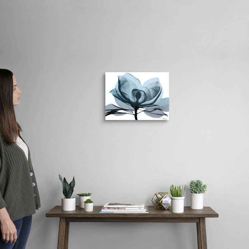 «Midnight Magnolia II» par Albert Koetsier, reproduction sur toile, Toile tendue, H 12 po x l 16 po x P 1,25 po