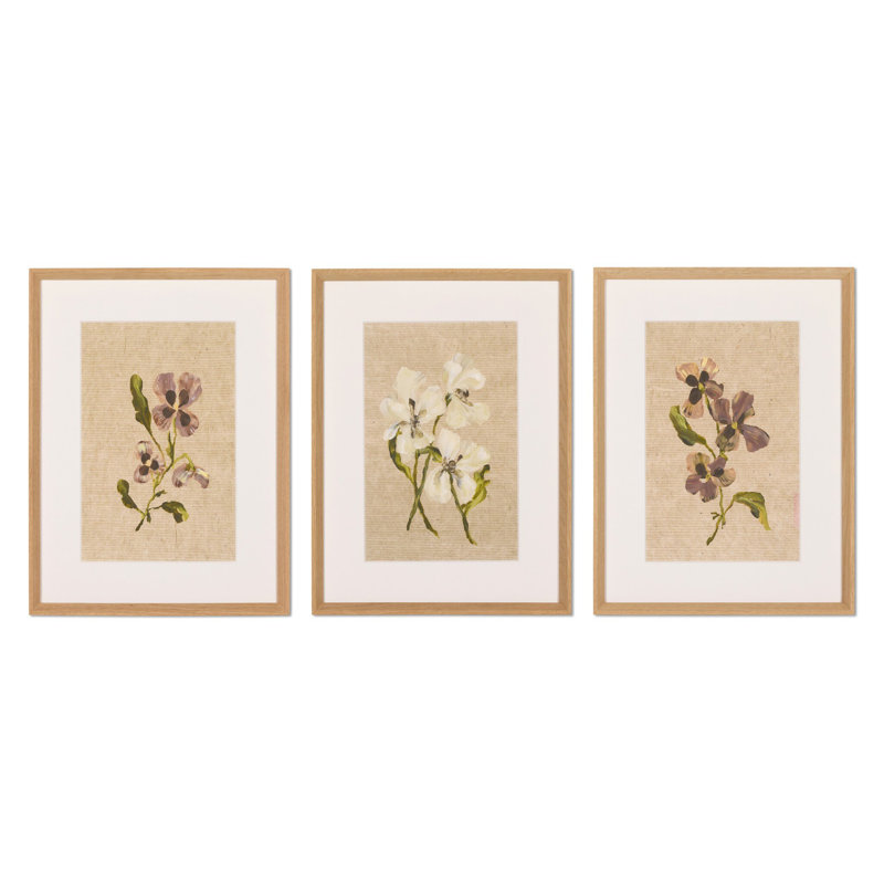 Blooms Ii Triptych By Brittney Shulz, 18" H x 42" W