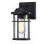 Schlesinger Seeded Glass Outdoor Wall Light-859661422