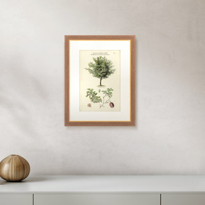Martha Stewart Skylands, art mural en bois, étude d'arbres II, 19,75 po x 25,75 po, salon et chambre à coucher, encadré